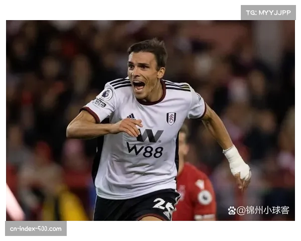 富勒姆8射2正客场闷平 帕利尼亚缺阵致中场控制力下降